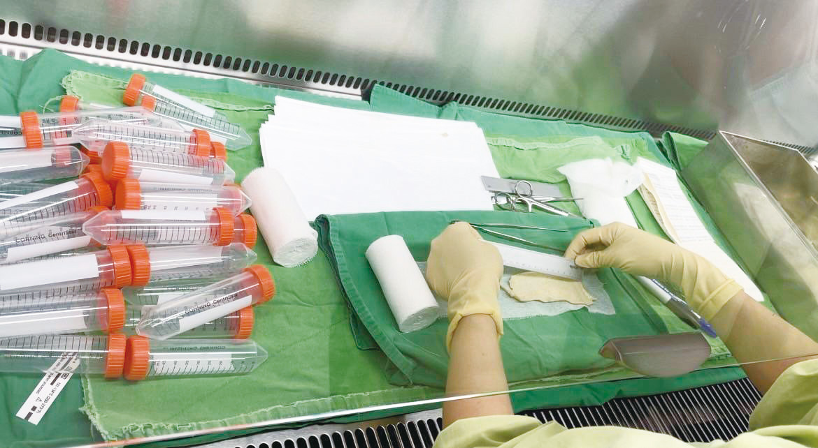 火吻者的生命屏障02